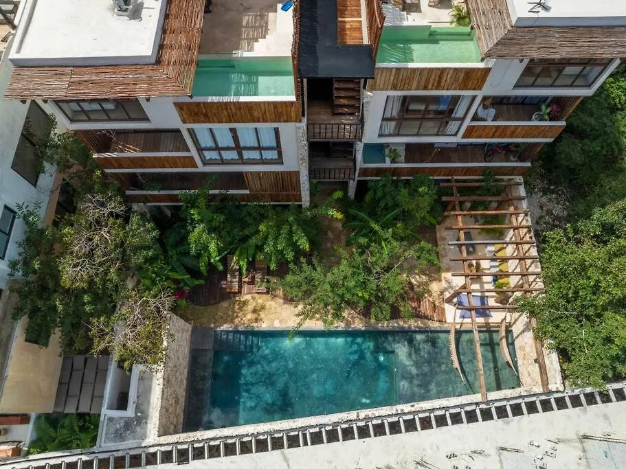 Chaya Rooftop Paradise 2 Bedroom Tulum Holiday home
